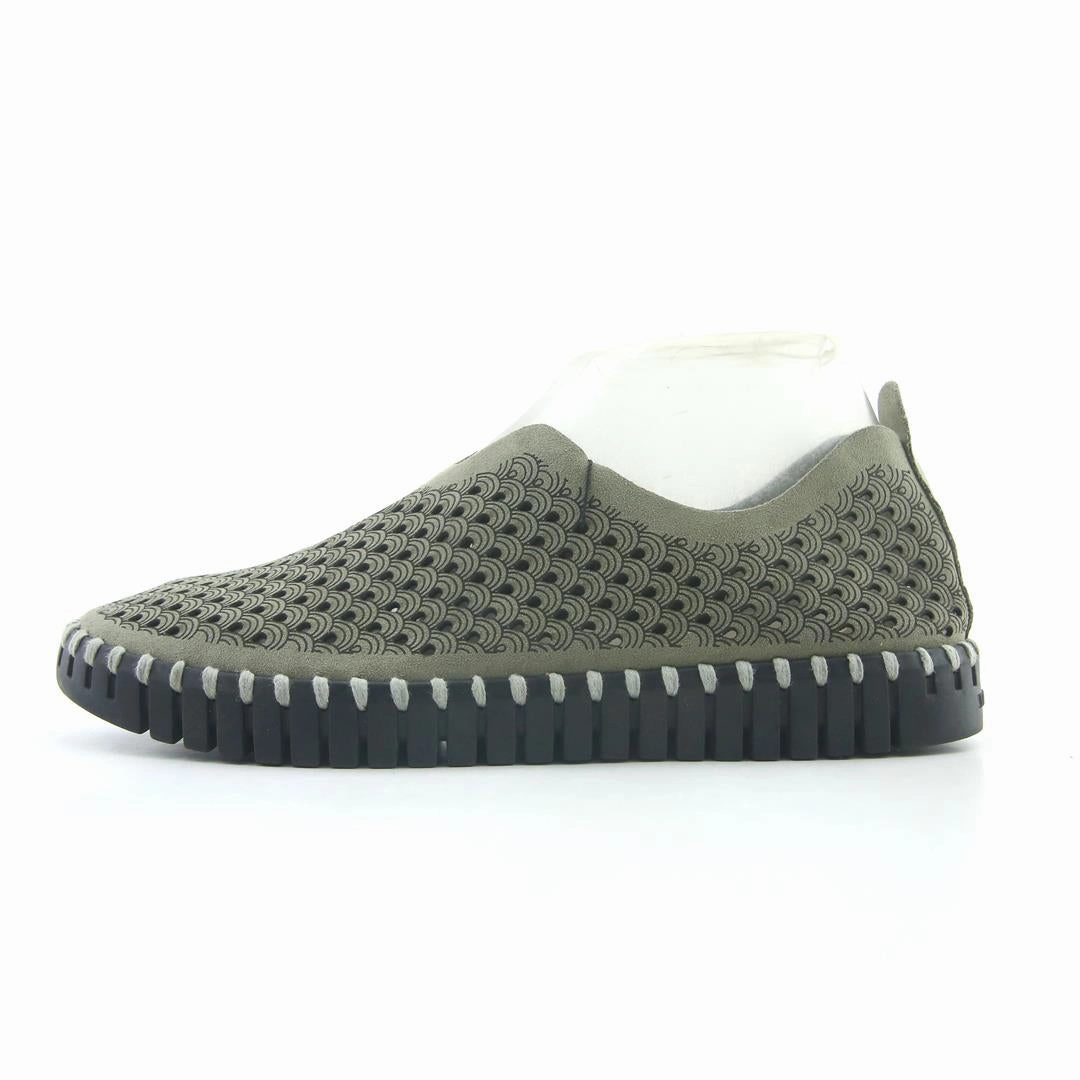 ILSE JACOBSEN TULIP3275