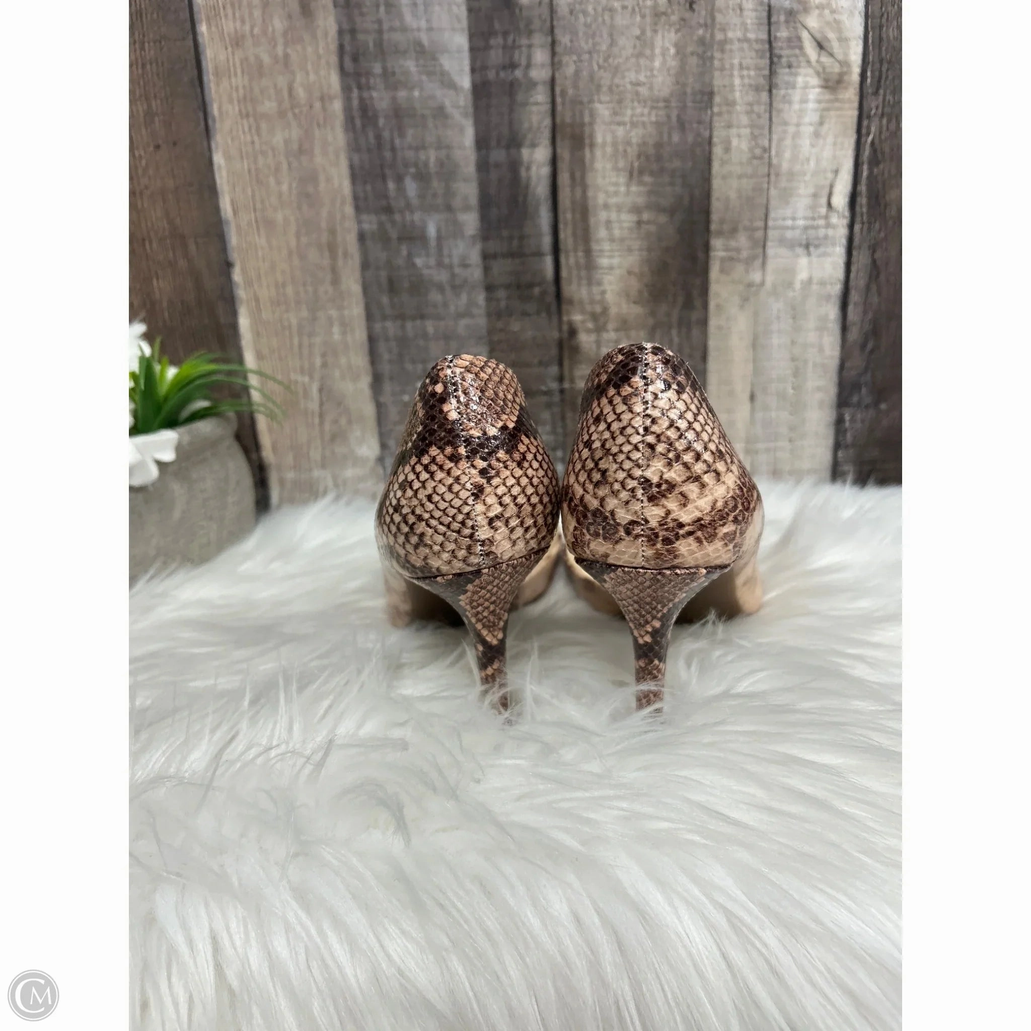 Shoes Heels Stiletto By Jessica Simpson In Snakeskin Print, Size: 7.5