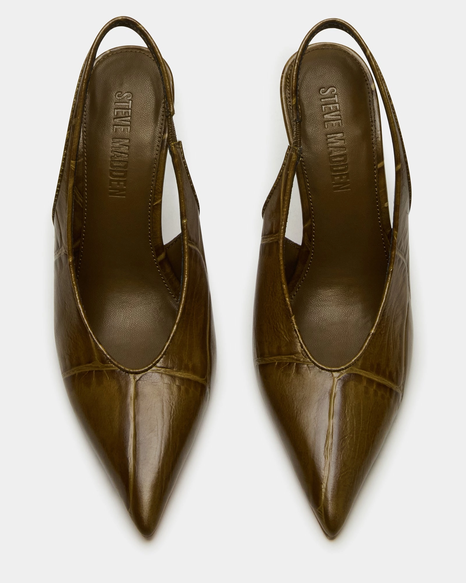 ANDROMEDA GREEN CROCODILE