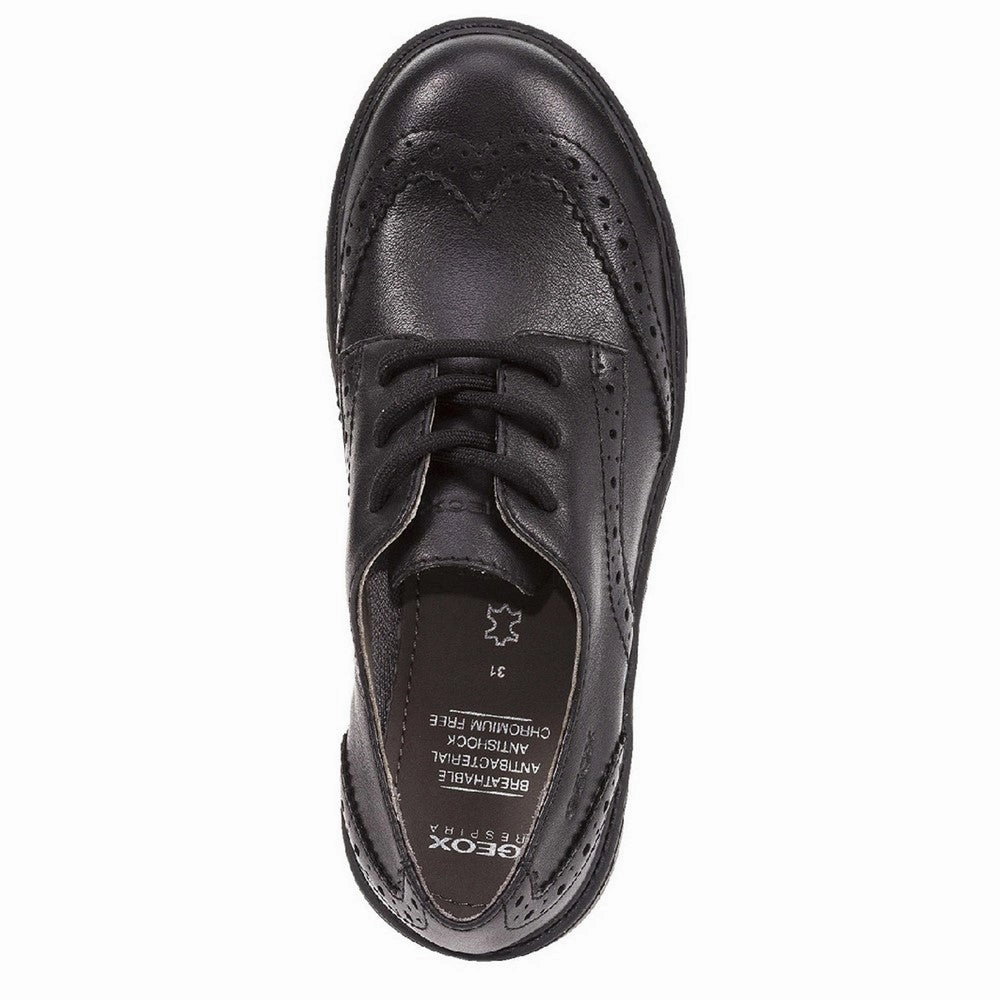Geox J Casey G. N School Shoes