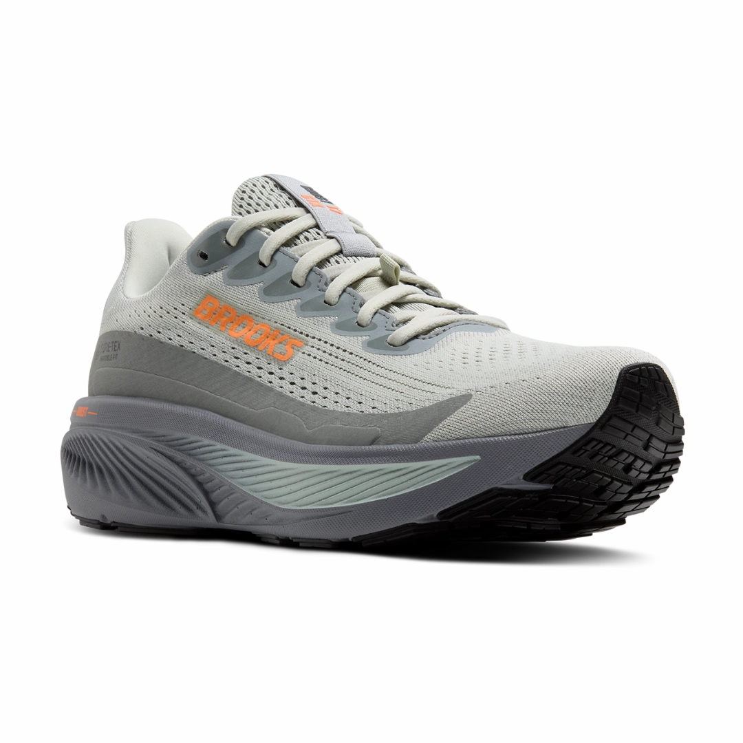 Adidas Daily Trainer Shoe Men's Ghost 17 GTX