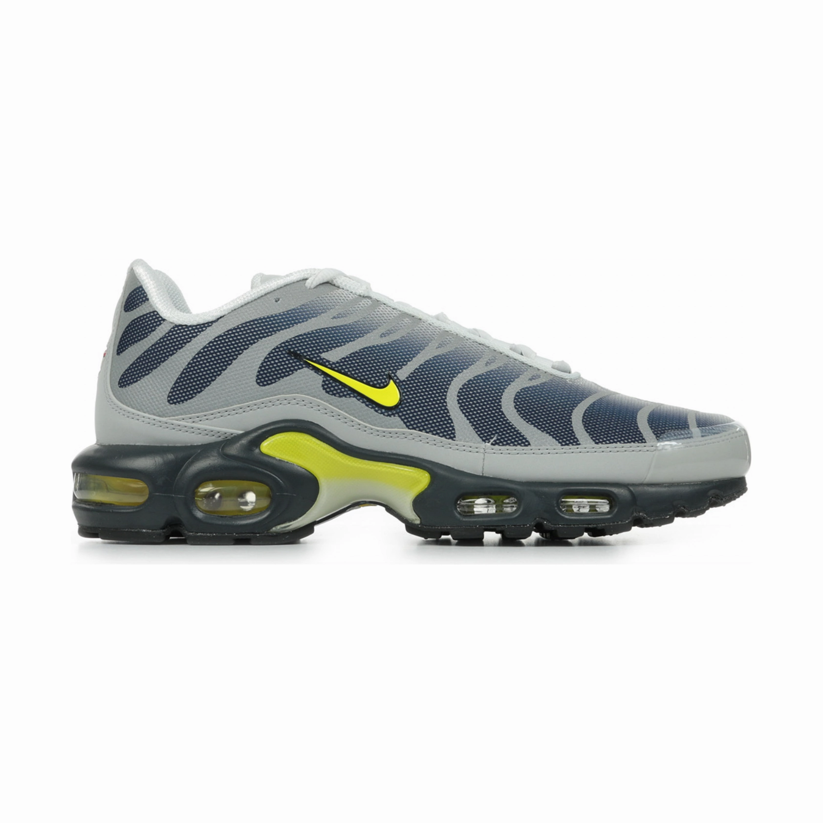 Nike Dunk Low Retro Premium Se Casual Shoes Nike Air Max Plus Metallic Silver Opti Yellow Obsidian