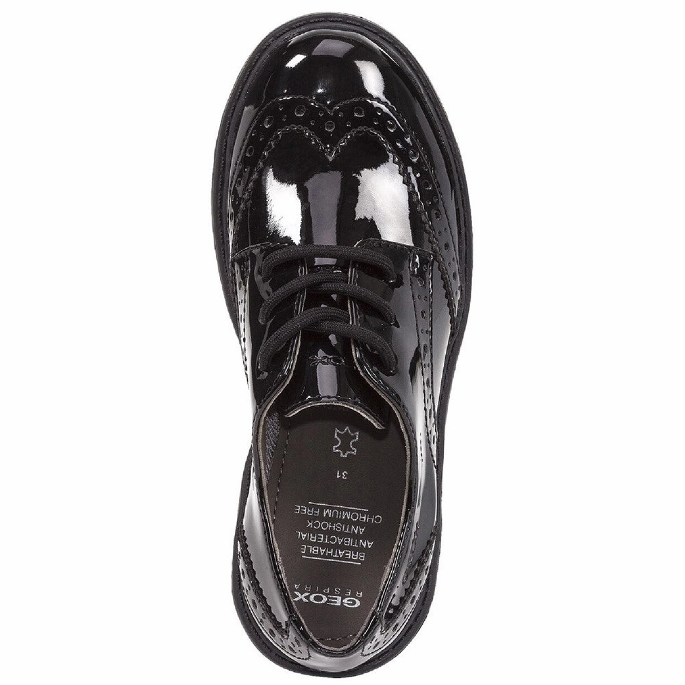 Geox J Casey G. N School Shoes