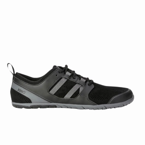 Best Running Shoes Daily Trainer Zelen. Men's